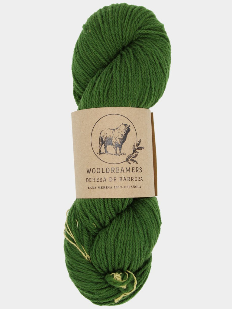 Wooldreamers Dehesa de Barrera Fingering - 0323 Olivio en Dicembre 19311146 | Yarn at Michigan Fine Yarns