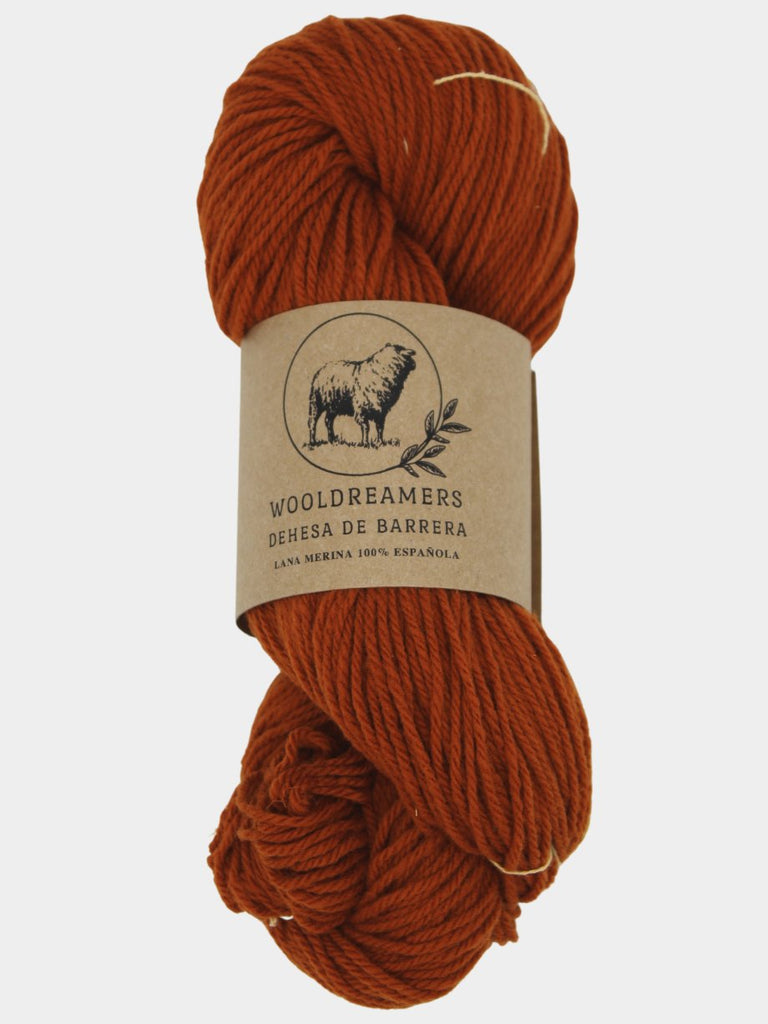 Wooldreamers Dehesa de Barrera Fingering - 1246 Campo Arado 19409450 | Yarn at Michigan Fine Yarns