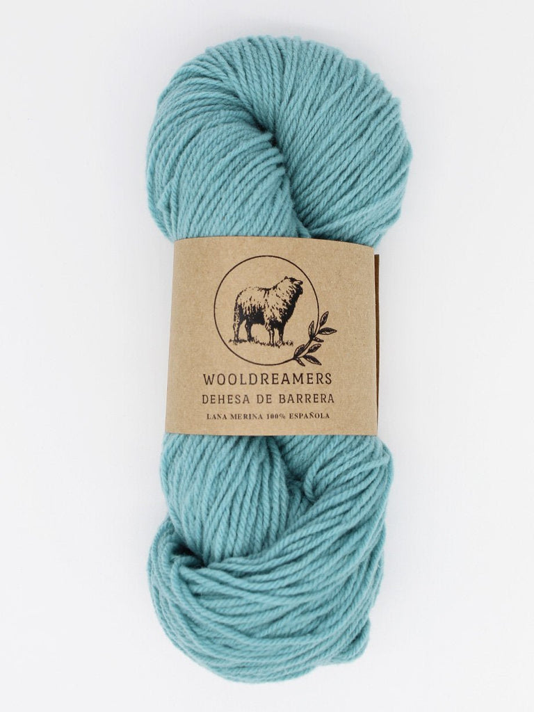 Wooldreamers Dehesa de Barrera Fingering - 4719 Agua Lagunar 19606058 | Yarn at Michigan Fine Yarns