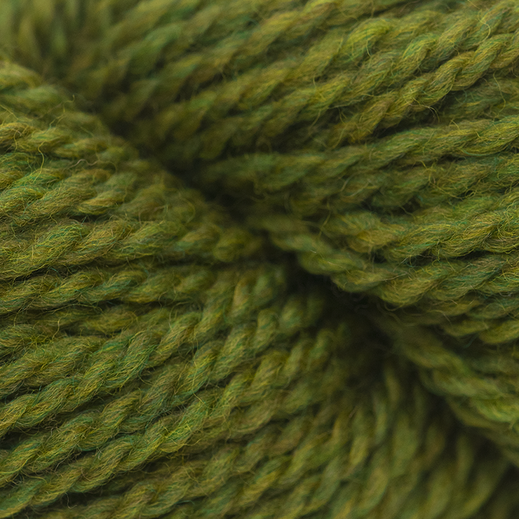 Blue Sky Fibers Woolstok 50 at Michigan Fine Yarns