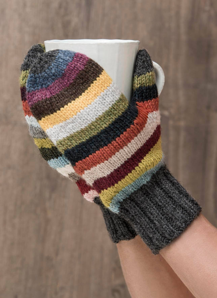 Blue Sky Fibers 21 Color Mitts Kit -42017066 | Kits at Michigan Fine Yarns