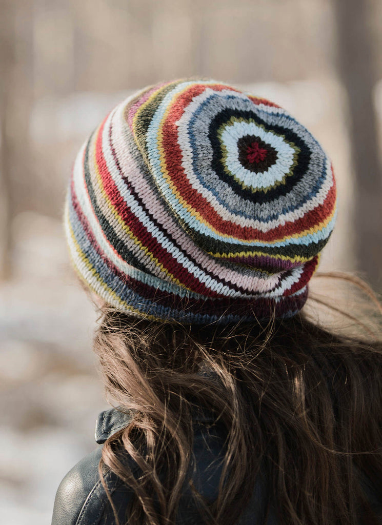 Blue Sky Fibers 21 Color Slouch -89372714 | Kits at Michigan Fine Yarns