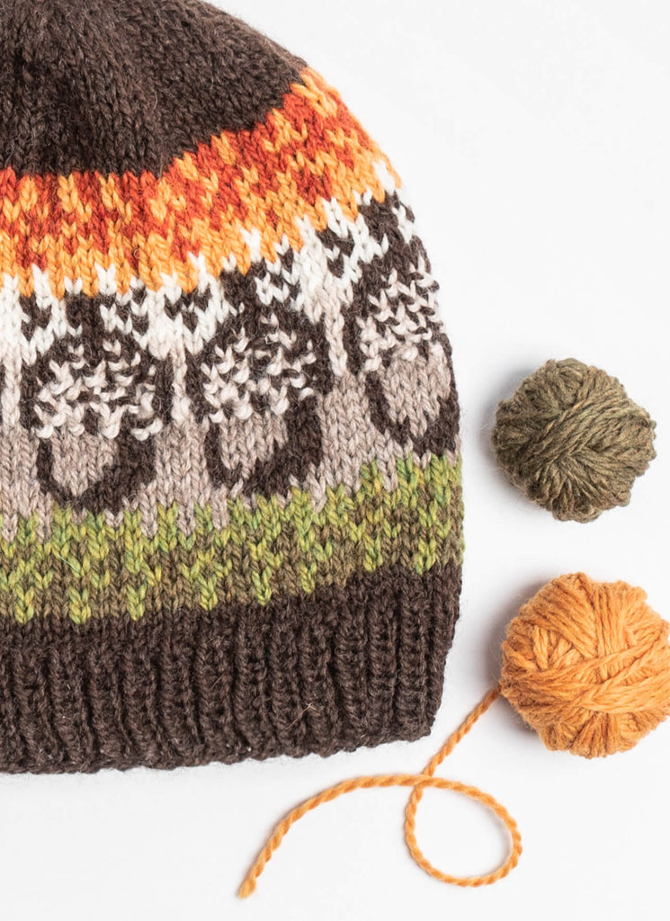 Blue Sky Fibers Acorn Street Cap | Patterns at Michigan Fine Yarns