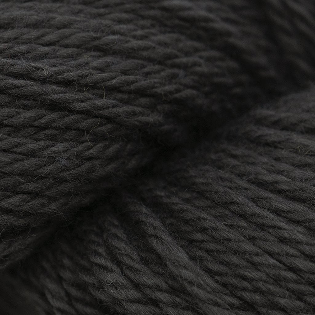 Blue Sky Fibers Back to Nature Hat Kit at Michigan Fine Yarns