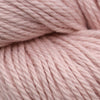 Blue Sky Fibers Back to Nature Hat Kit at Michigan Fine Yarns