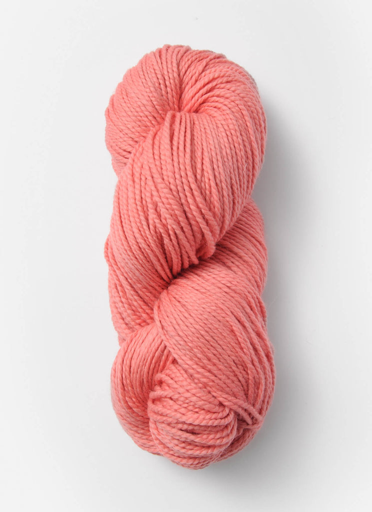 Blue Sky Fibers Cane Bay Wrap Kit -31631402 | Kits at Michigan Fine Yarns
