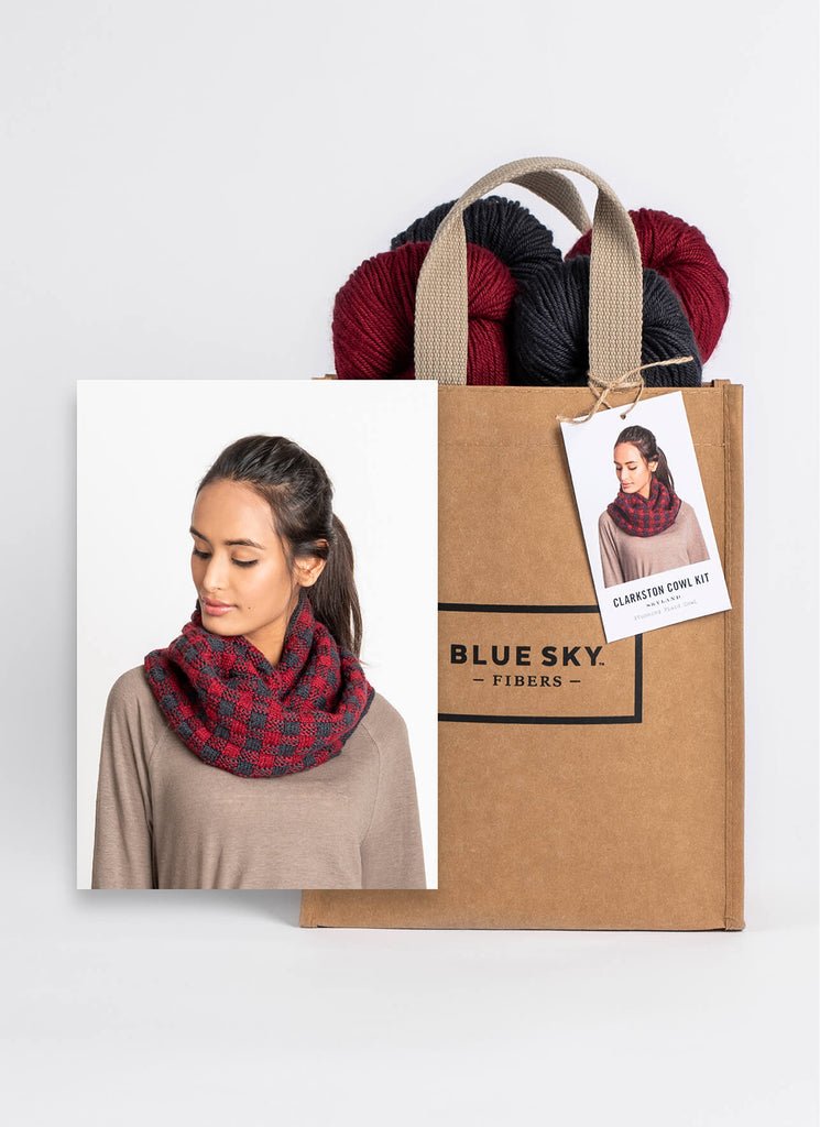 Blue Sky Fibers Clarkston Cowl Kit -16764458 | Kits at Michigan Fine Yarns