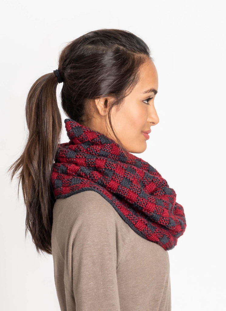 Blue Sky Fibers Clarkston Cowl Kit -16764458 | Kits at Michigan Fine Yarns