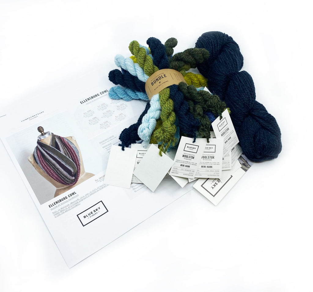 Blue Sky Fibers Ellensburg Cowl Kit -37208106 | Kits at Michigan Fine Yarns