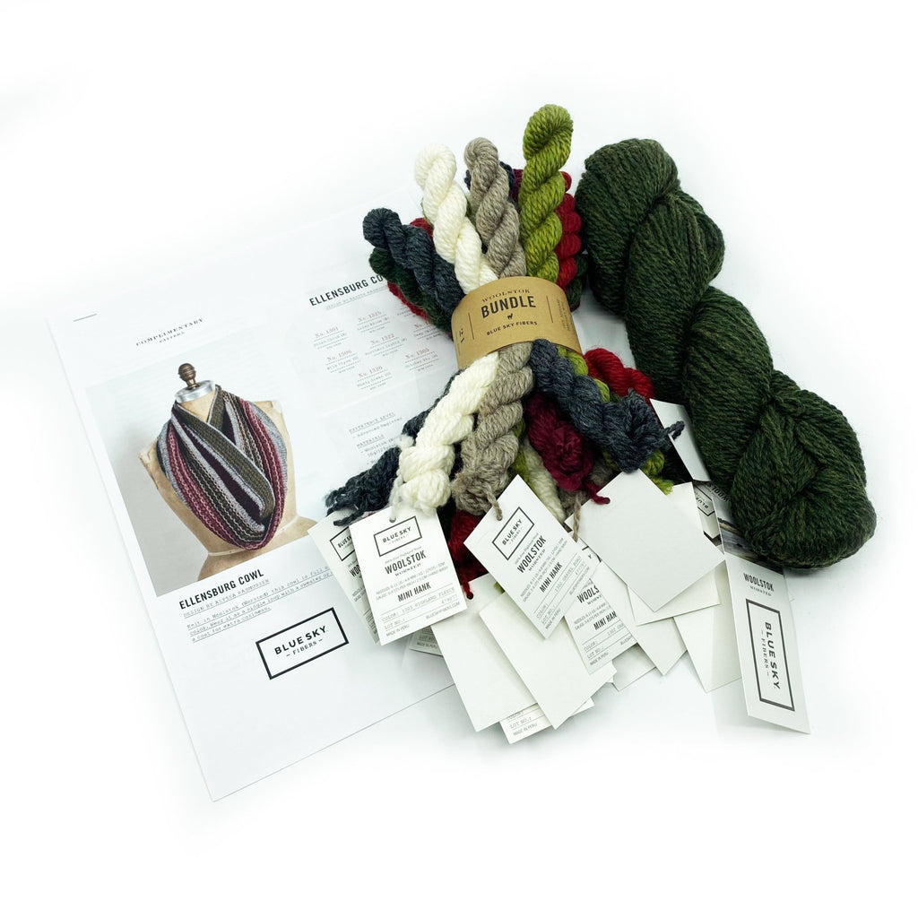 Blue Sky Fibers Ellensburg Cowl Kit -37273642 | Kits at Michigan Fine Yarns