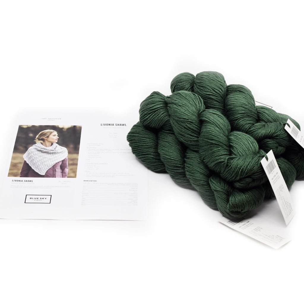 Blue Sky Fibers Livonia Shawl Kit -2406 - Comet 73394730 | Kits at Michigan Fine Yarns