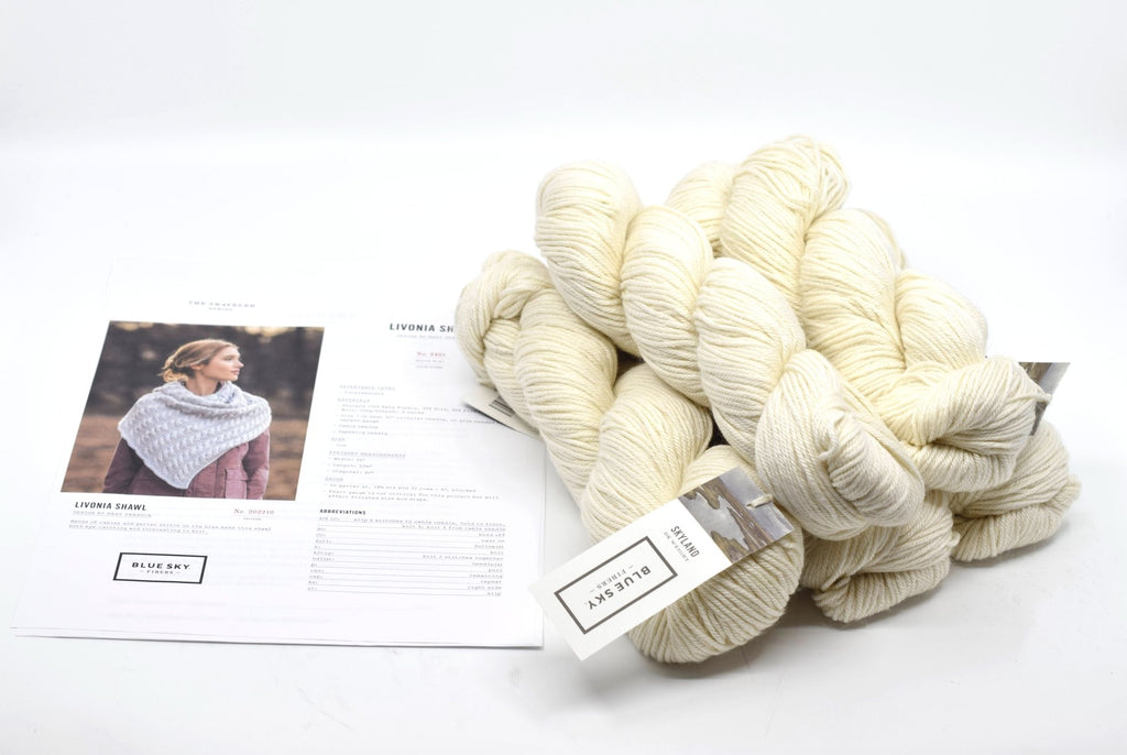 Blue Sky Fibers Livonia Shawl Kit -2407 - Cumulus 33744938 | Kits at Michigan Fine Yarns