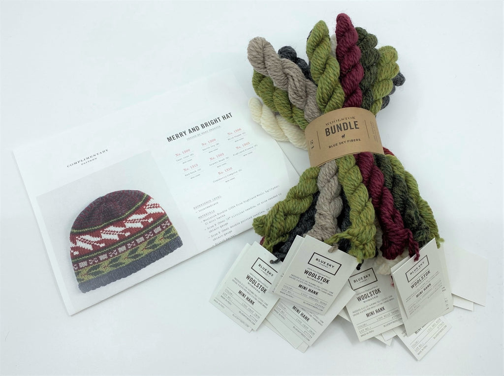 Blue Sky Fibers Merry and Bright Hat Kit - 60821546 | Kits at Michigan Fine Yarns
