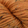 Blue Sky Fibers Portland Cap Kit -3313 - Tiger Lily 68066090 | Kits at Michigan Fine Yarns