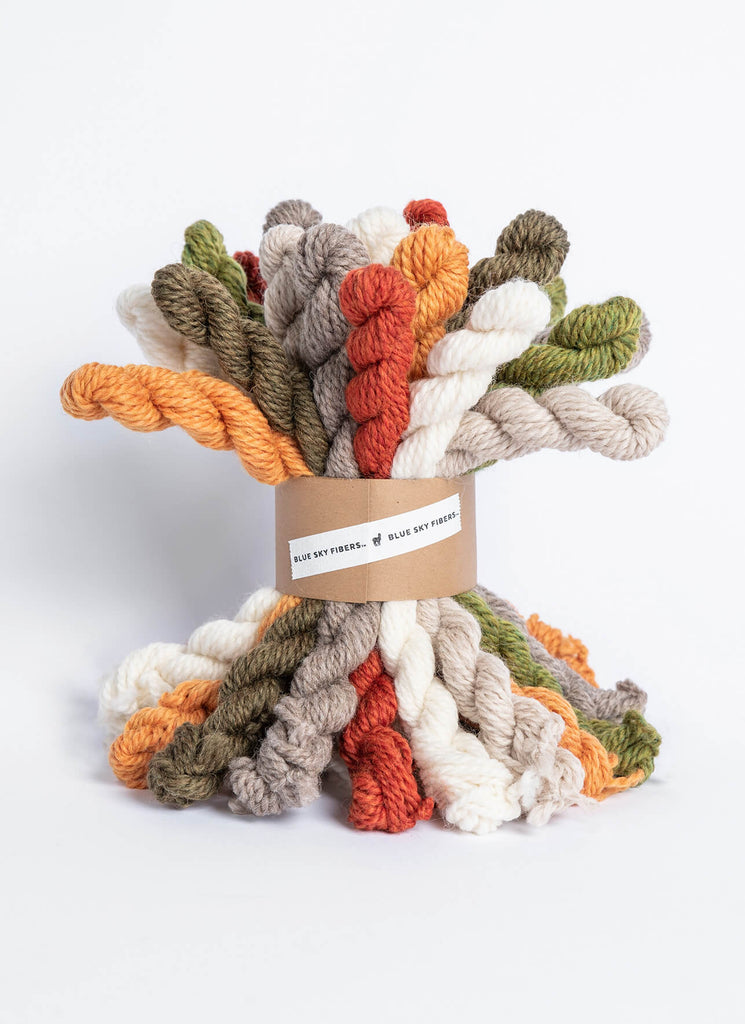 Blue Sky Fibers Pumpkin Patch Kit - 14782762 | Kits at Michigan Fine Yarns