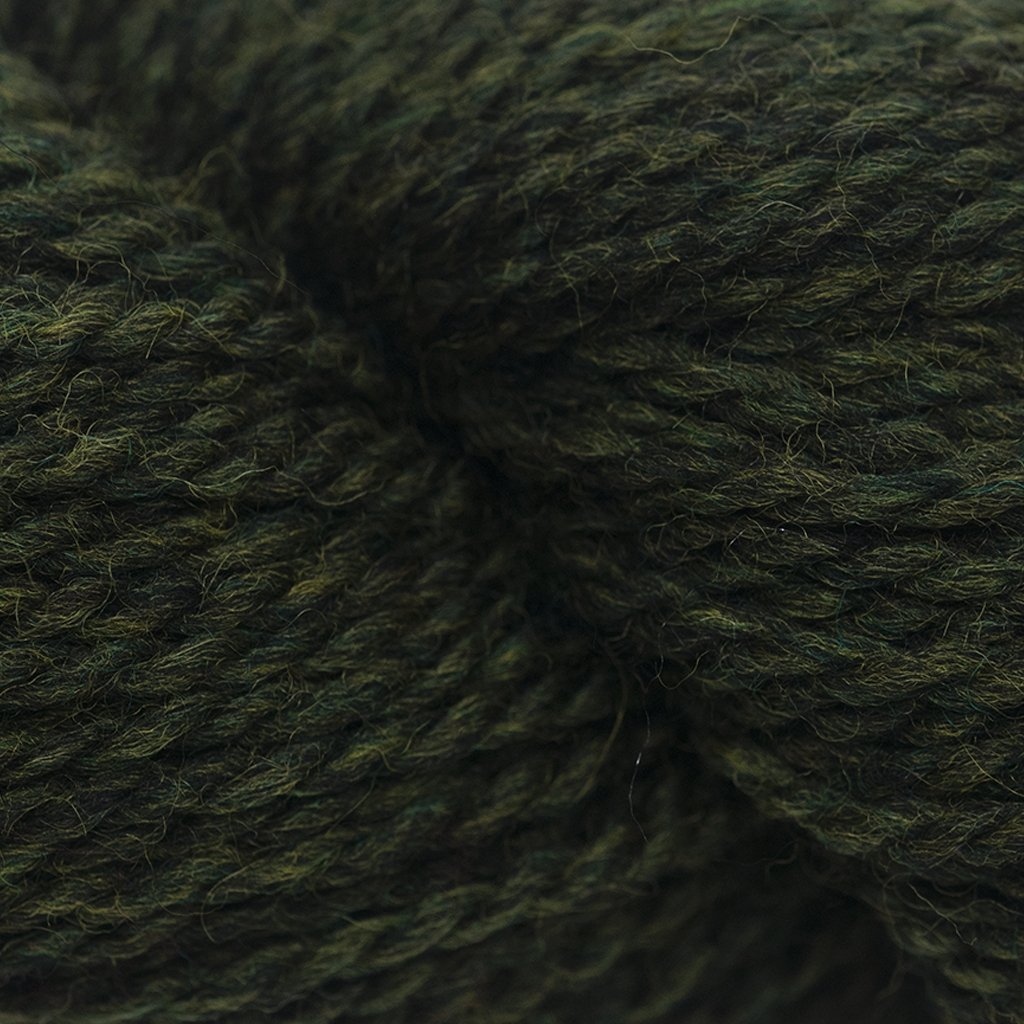 Blue Sky Fibers Spicer Hat Kit -1306 - Wild Thyme 04967722 | Kits at Michigan Fine Yarns