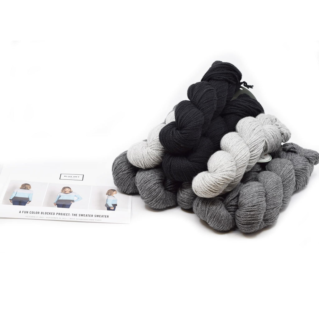 Blue Sky Fibers Sweater Sweater Kit -Alternative Colorway | Kits at Michigan Fine Yarns