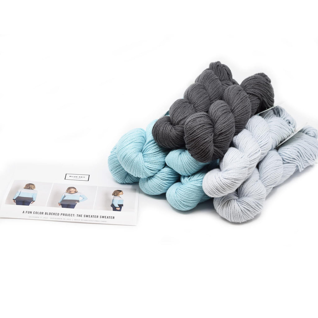 Blue Sky Fibers Sweater Sweater Kit -Original Colorway | Kits at Michigan Fine Yarns