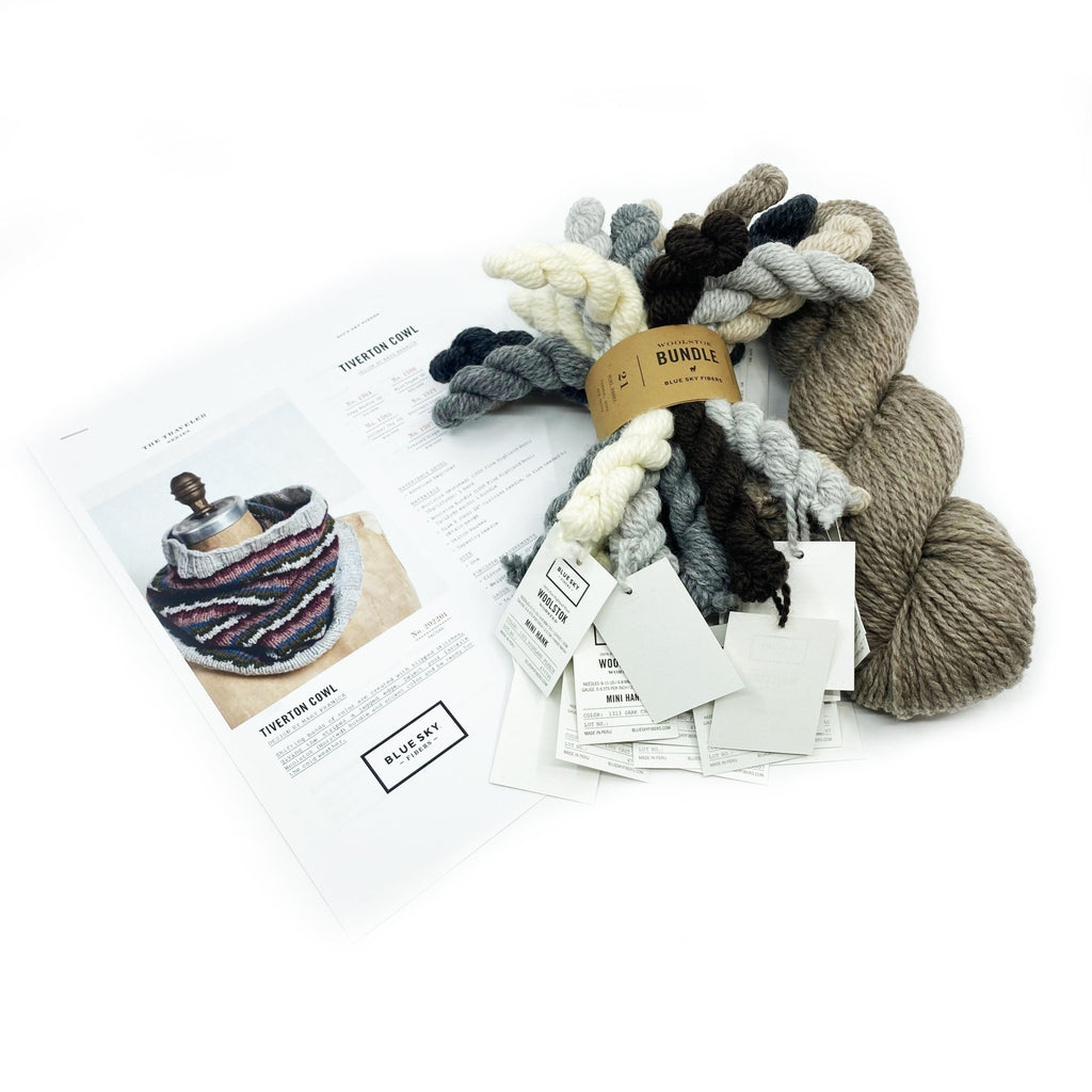 Blue Sky Fibers Tiverton Cowl Kit -Neutral + No. 1302 Gravel Road 31277098 | Kits at Michigan Fine Yarns