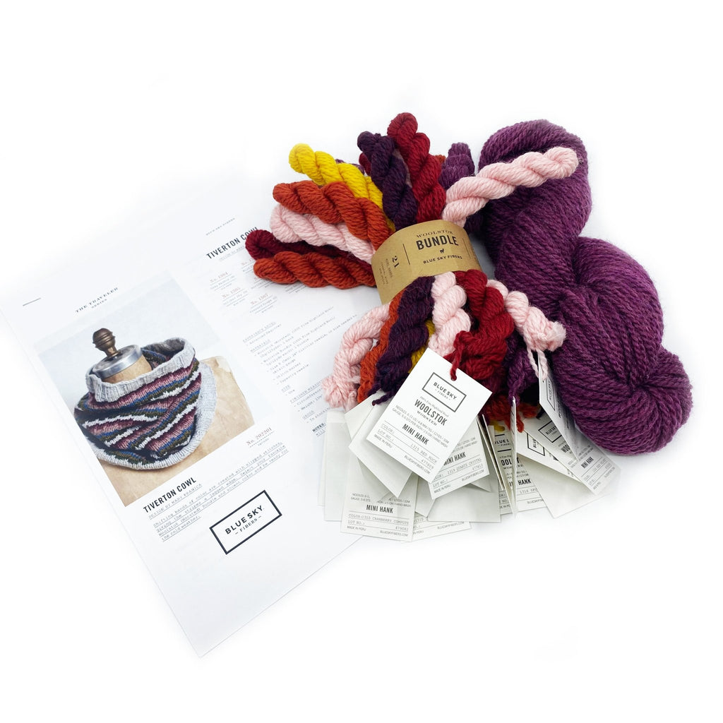Blue Sky Fibers Tiverton Cowl Kit -Warm + No. 1307 Pressed Grapes 31375402 | Kits at Michigan Fine Yarns