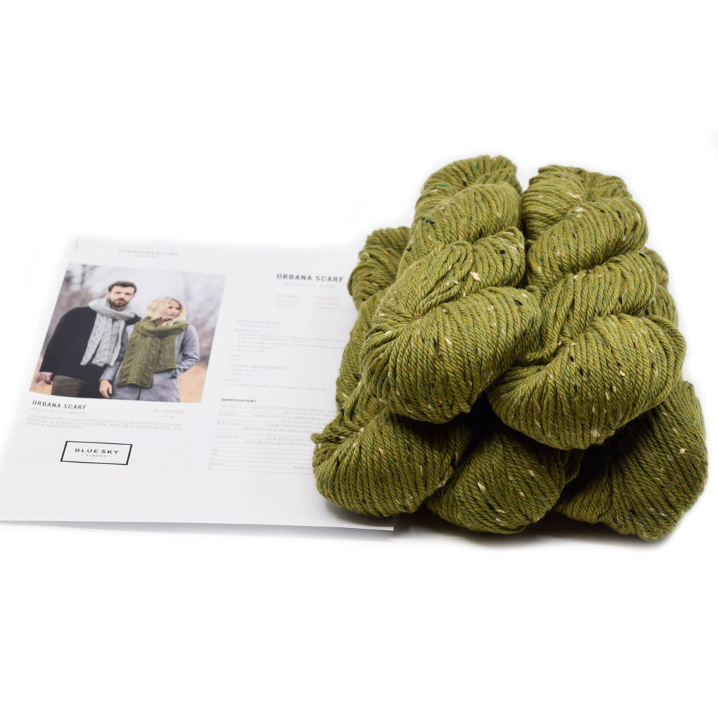 Blue Sky Fibers Urbana Scarf Kit -3307 - Fern Fond 35445802 | Kits at Michigan Fine Yarns