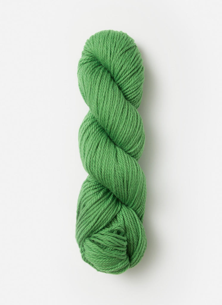 Blue Sky Fibers Venus Mitts Kit -Turtle #7514 28055850 | Kits at Michigan Fine Yarns