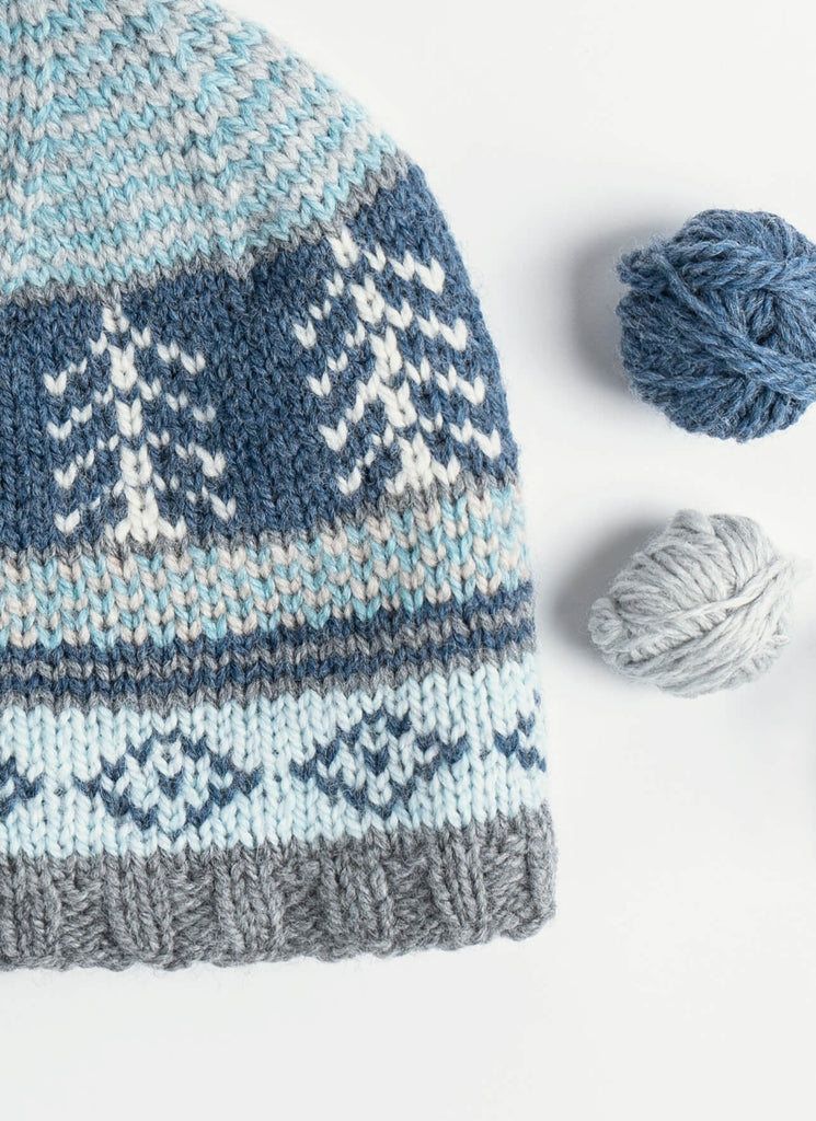 Blue Sky Fibers Winter Wonderland Hat Kit - 96047146 | Kits at Michigan Fine Yarns