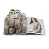 Noro Sia Sweater Kit -1 - Sake | Kits at Michigan Fine Yarns