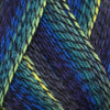 Berroco Berroco Sox at Michigan Fine Yarns