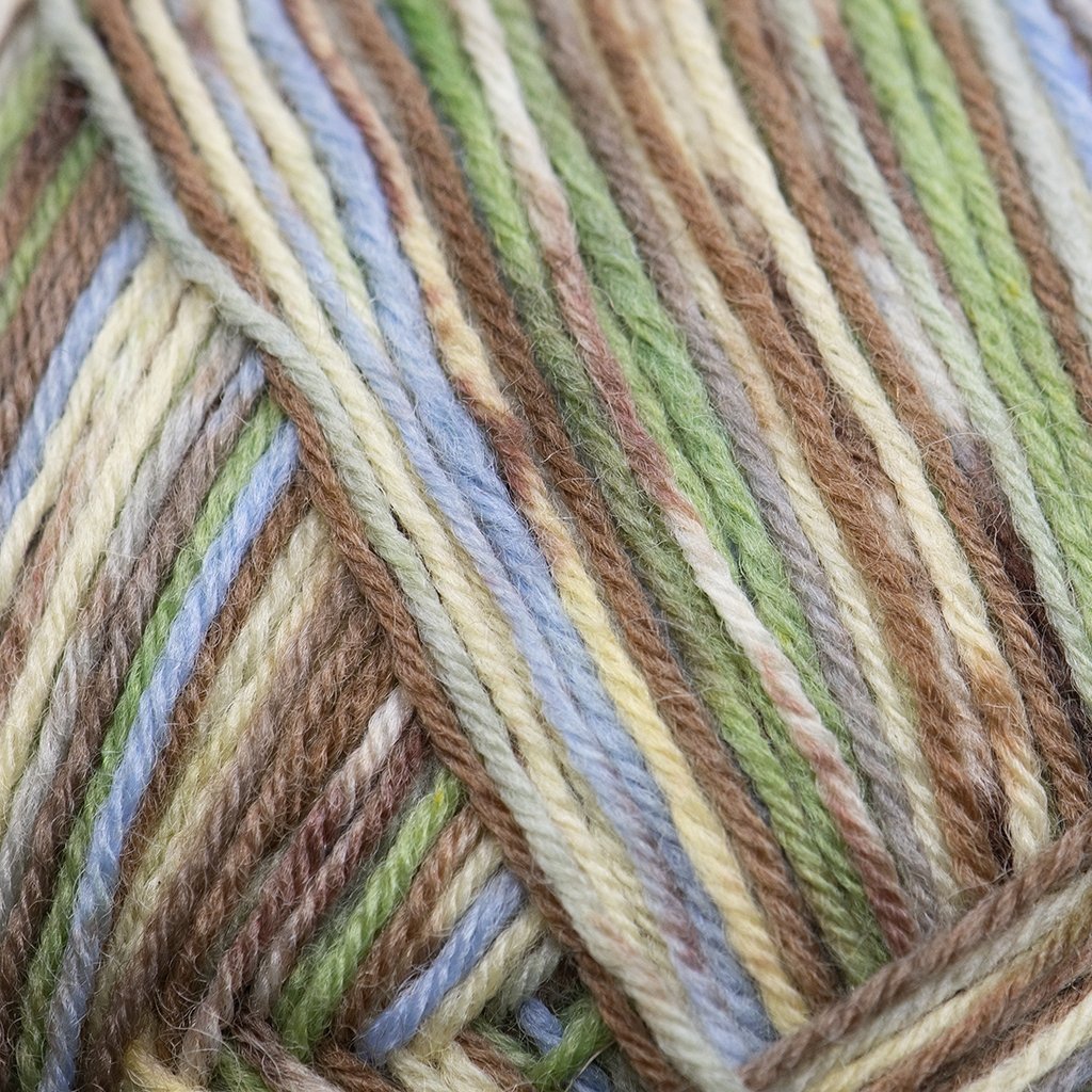 Berroco Berroco Sox at Michigan Fine Yarns