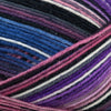 Berroco Berroco Sox at Michigan Fine Yarns
