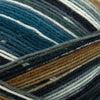 Berroco Berroco Sox at Michigan Fine Yarns