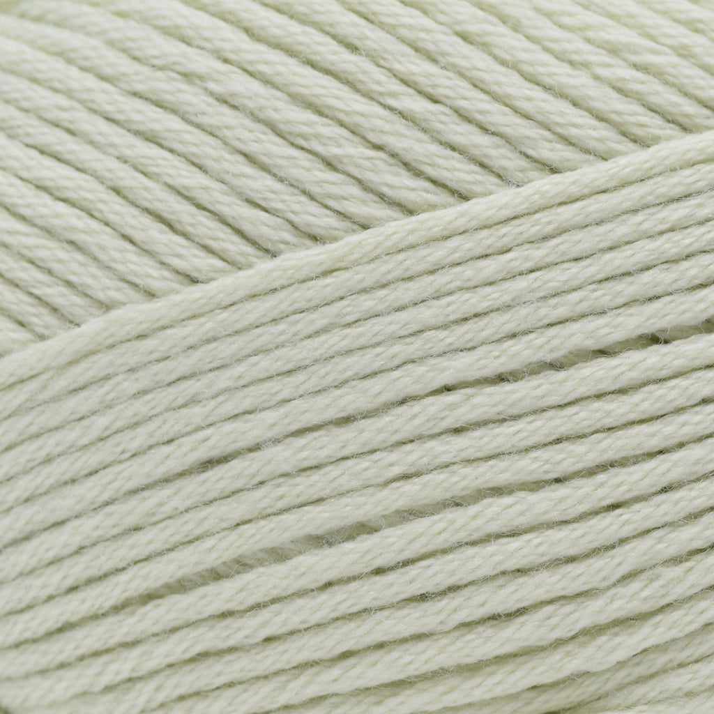 Berroco Comfort -97102 - Mint 780335971021 | Yarn at Michigan Fine Yarns