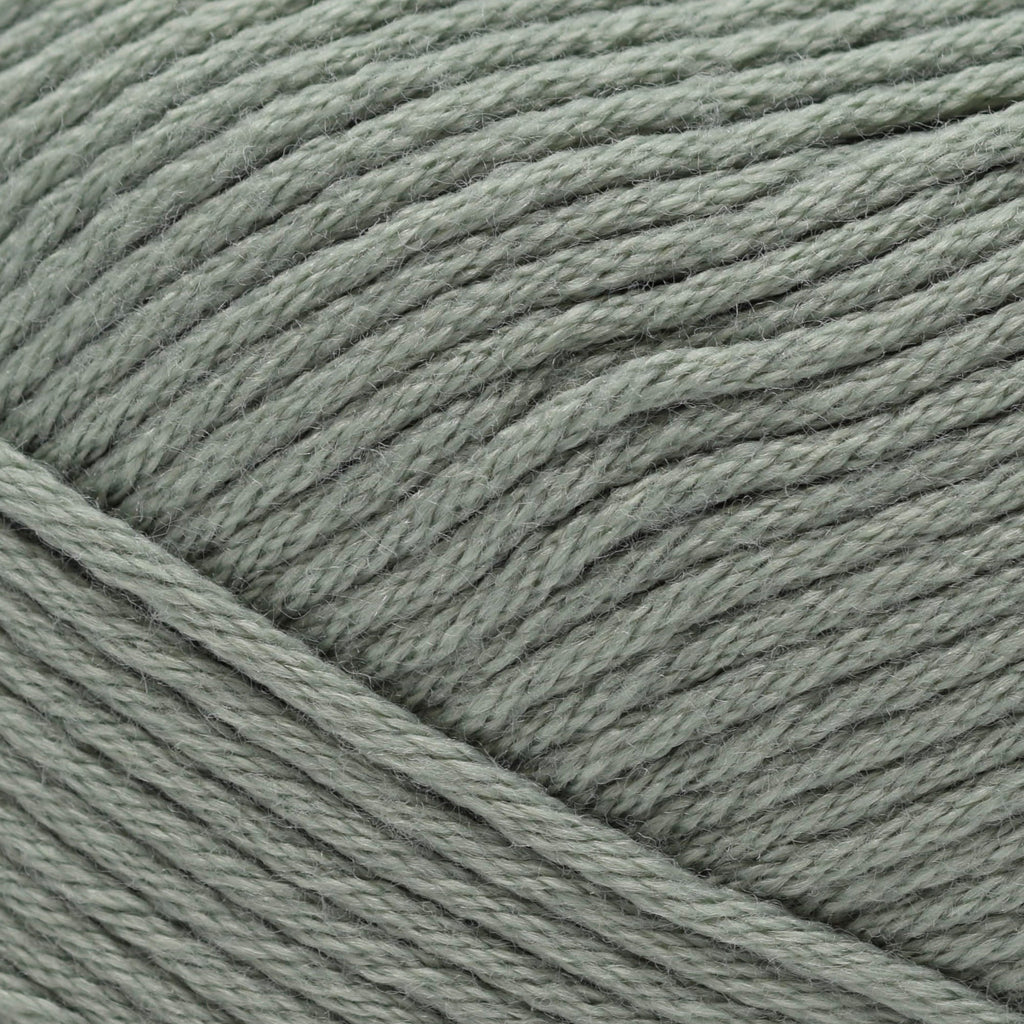 Berroco Comfort -97103 - Sage 780335971038 | Yarn at Michigan Fine Yarns