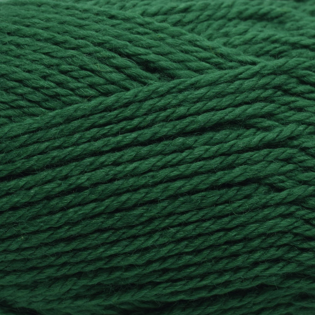 Berroco Vintage Baby -10030 - Holly 780335000301 | Yarn at Michigan Fine Yarns