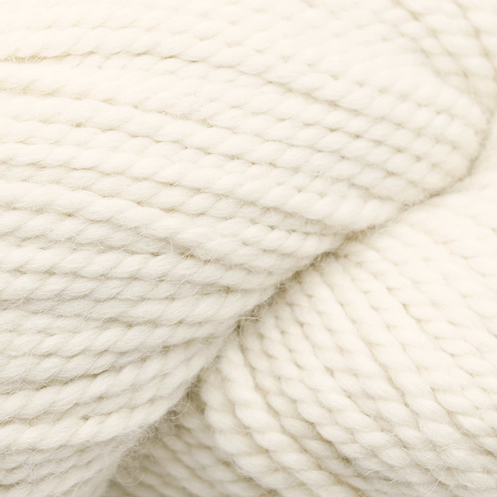 Blue Sky Fibers Extra -8869040165212 | Yarn at Michigan Fine Yarns