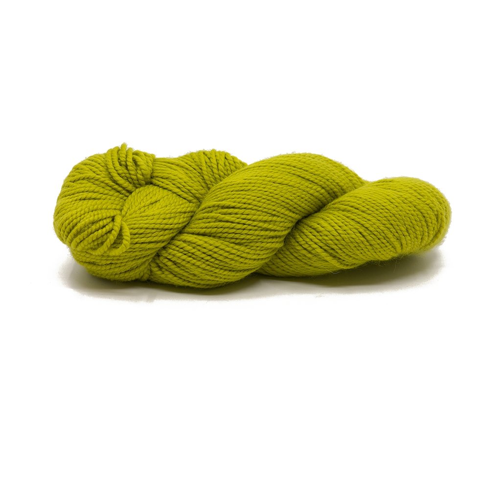 Blue Sky Fibers Extra -8869040165212 | Yarn at Michigan Fine Yarns