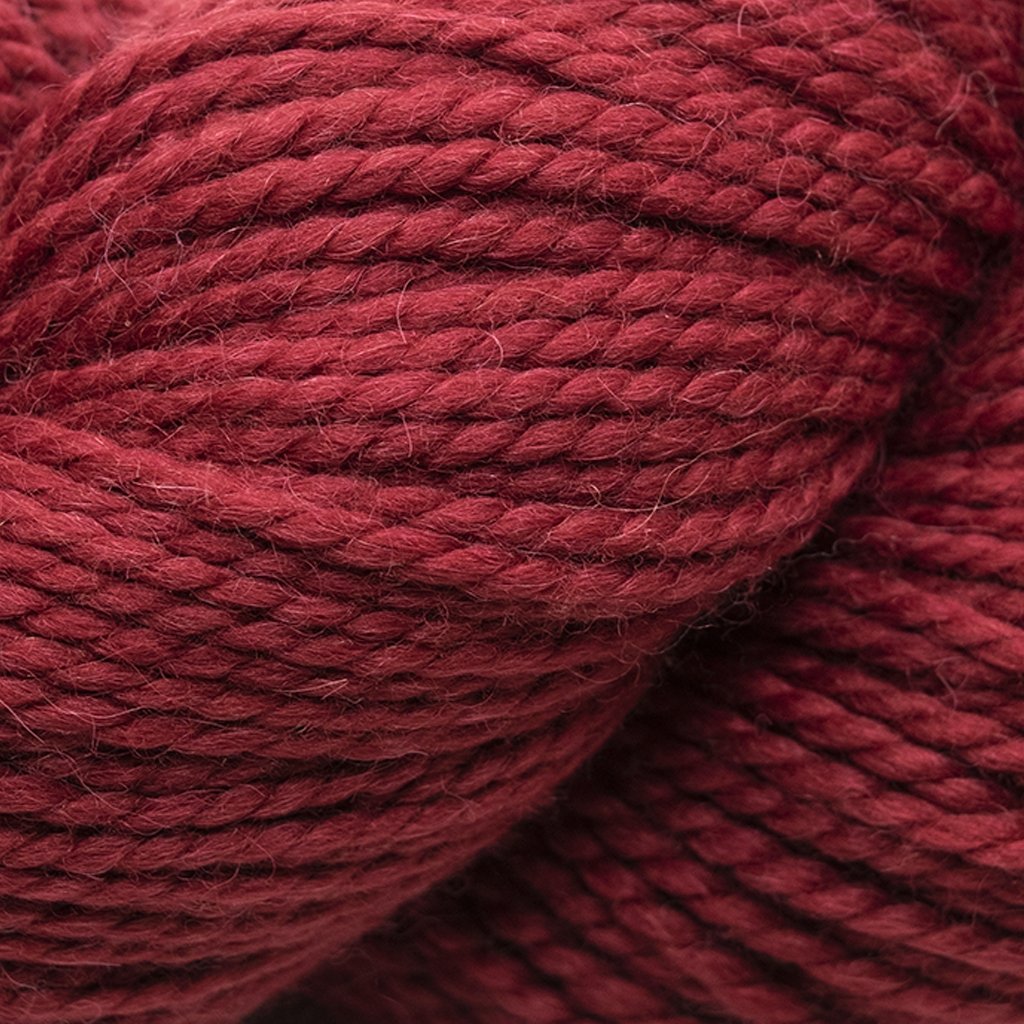 Blue Sky Fibers Extra -8869040165214 | Yarn at Michigan Fine Yarns