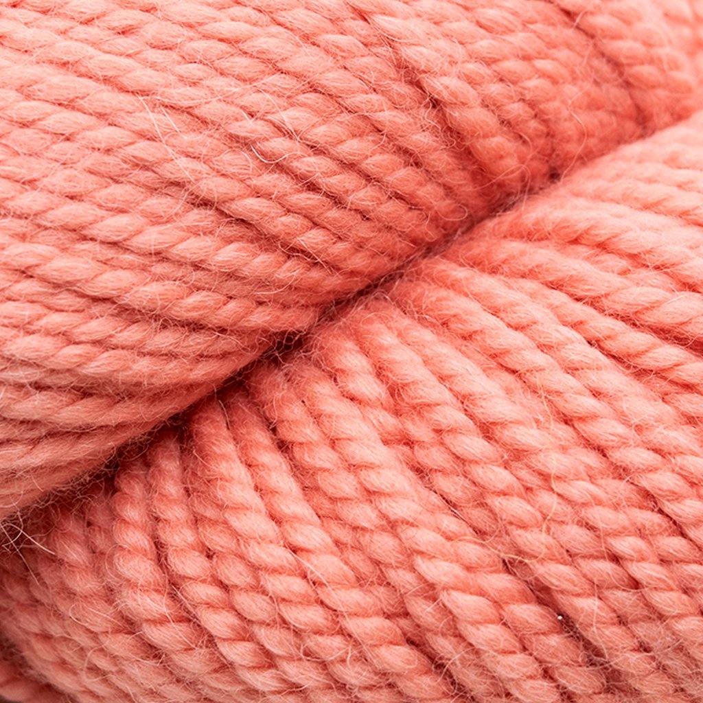 Blue Sky Fibers Extra -8869040165270 | Yarn at Michigan Fine Yarns