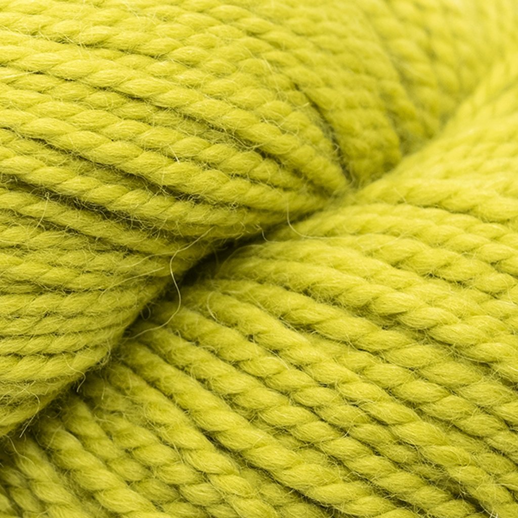 Blue Sky Fibers Extra -8869040165278 | Yarn at Michigan Fine Yarns