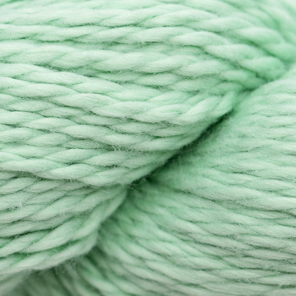 Blue Sky Fibers Organic Cotton Worsted -604 - Aloe 52225578 | Yarn at Michigan Fine Yarns