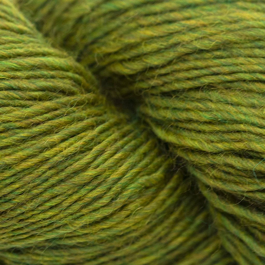 Blue Sky Fibers Woolstok Light -2309 - Earth Ivy BSF - 2309 | Yarn at Michigan Fine Yarns