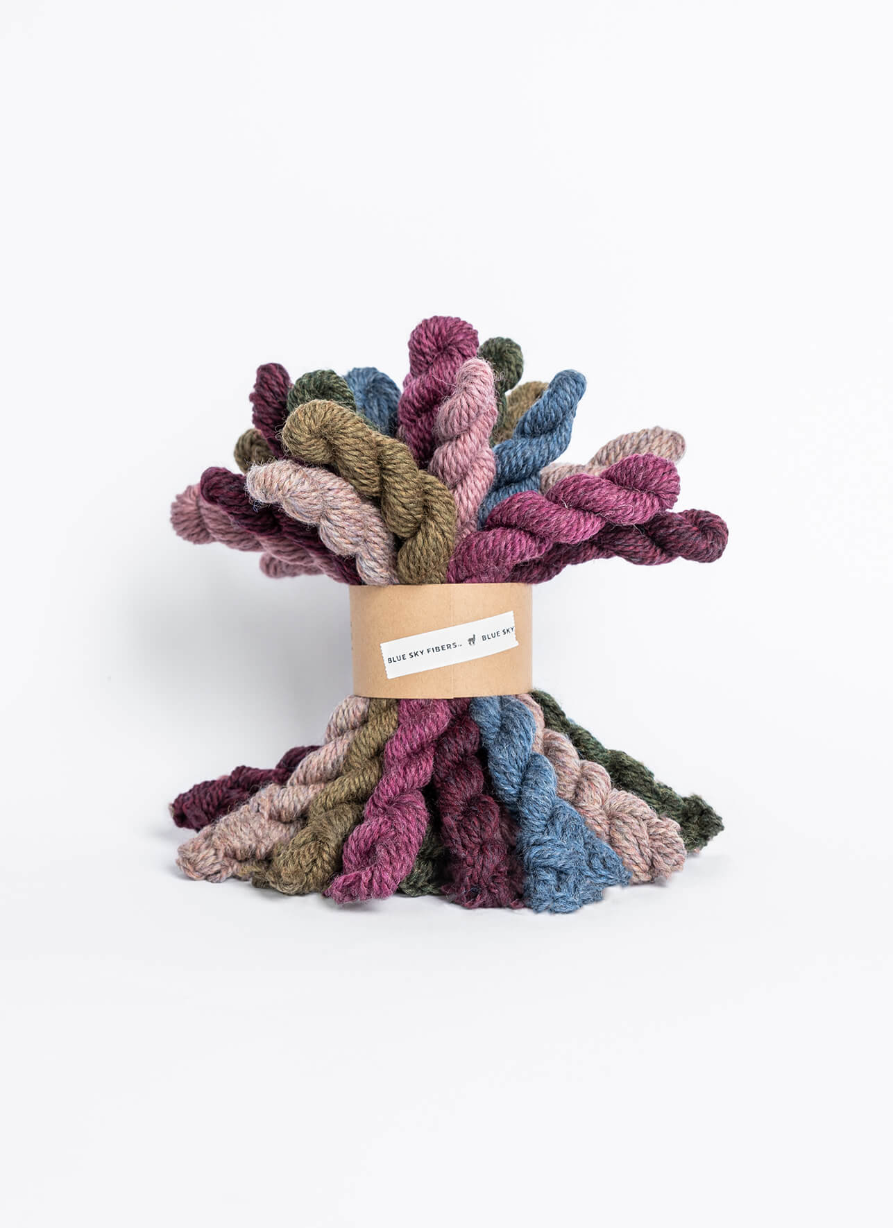 Blue Sky Fibers Woolstok Bundles Yarn - Holiday Frost at Jimmy Beans Wool