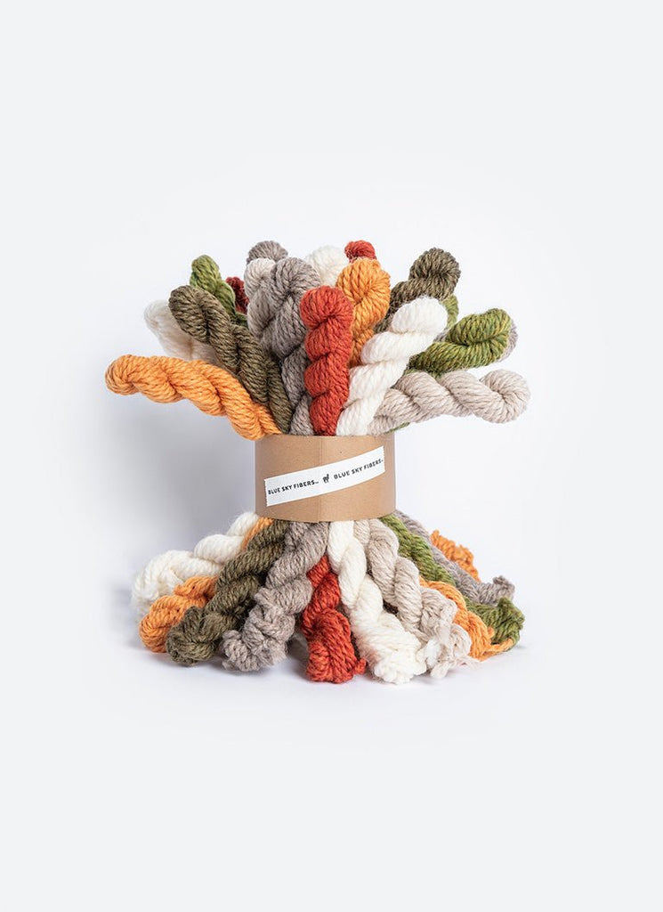 Blue Sky Fibers Woolstok Mini Bundles -Fall Festival | Yarn at Michigan Fine Yarns