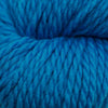 Cascade 128 Superwash -886904029695 | Yarn at Michigan Fine Yarns