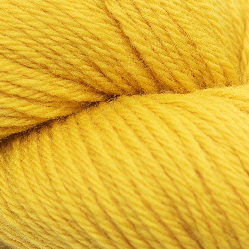Cascade 220 at Michigan Fine Yarns