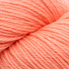 Cascade 220 at Michigan Fine Yarns