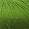 Cascade 220 Superwash -208 - Treetop 886904033838 | Yarn at Michigan Fine Yarns