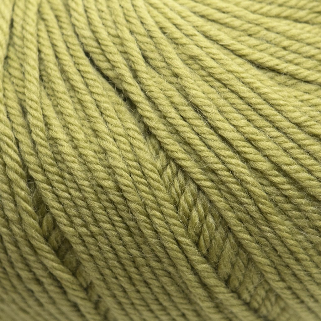 Cascade 220 Superwash -209 - Cedar 886904033746 | Yarn at Michigan Fine Yarns