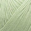 Cascade 220 Superwash -250 - Laurel Green 886904046067 | Yarn at Michigan Fine Yarns